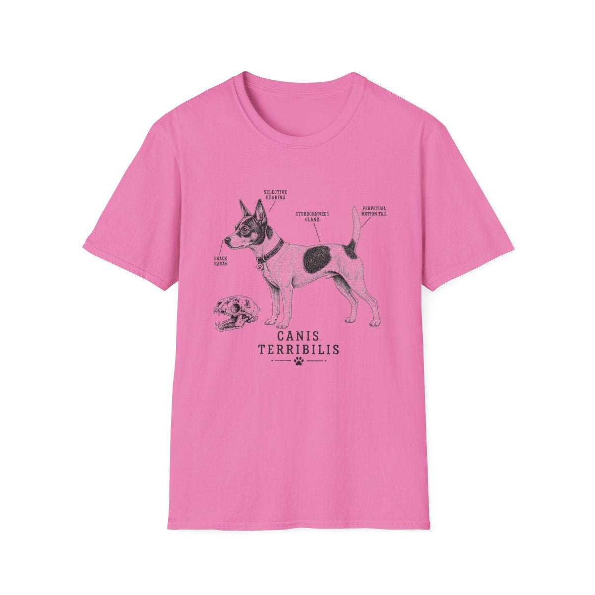 Anatomy Of A Rat Terrier Tee