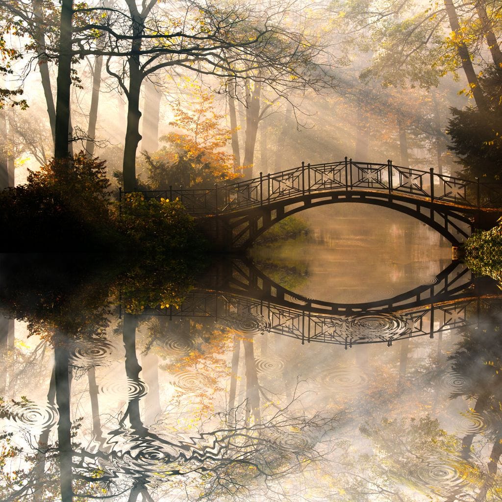 Park Bridge Canvas Wall Art