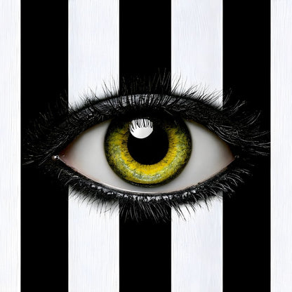 Fragments Of A Singular Watchful Sight Canvas Wall Art