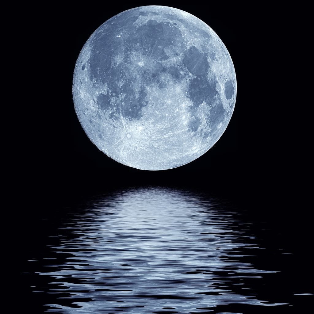 Shadow of The Night Canvas Wall Art