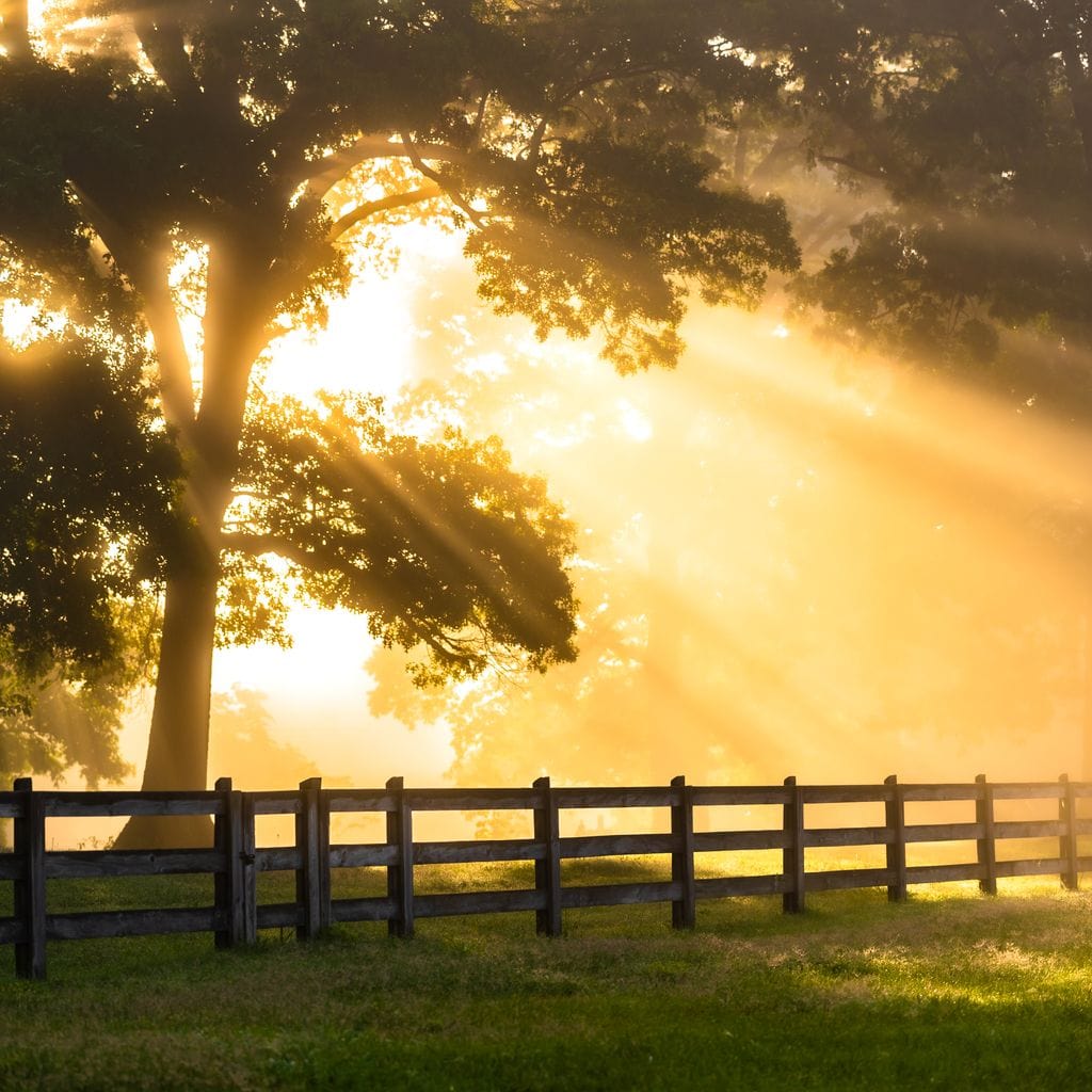 Break of Dawn Canvas Wall Art