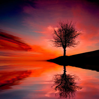 Red Sunset Canvas Wall Art