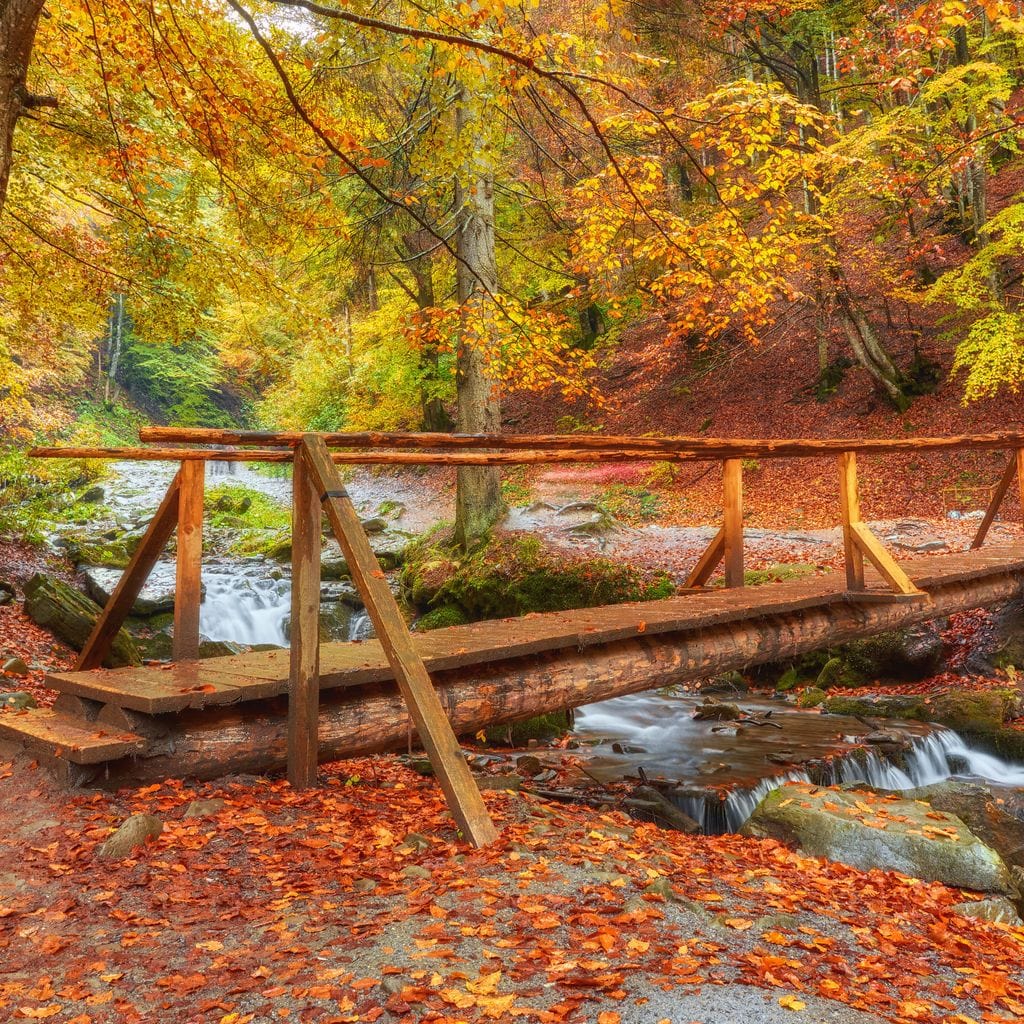 Wooden Bridge Canvas Wall Art