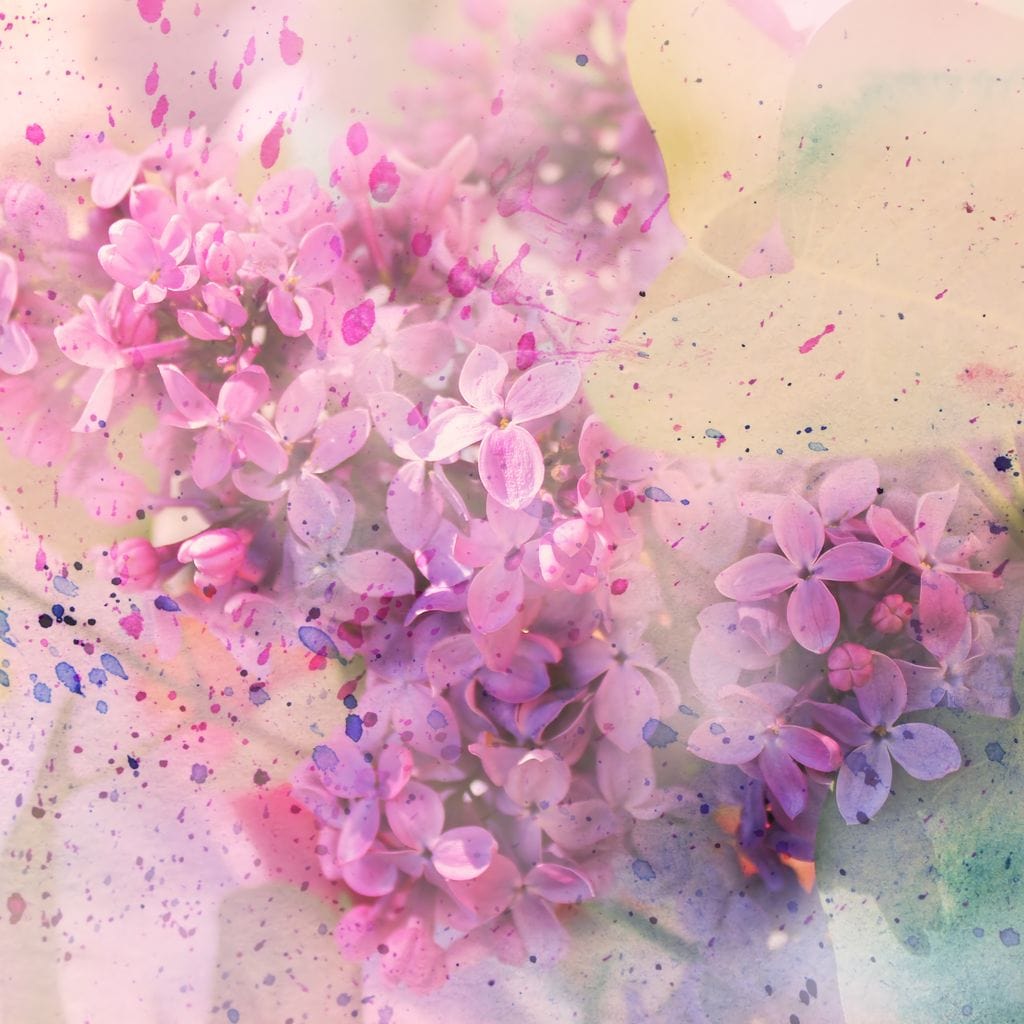 Lilac Storm Canvas Wall Art