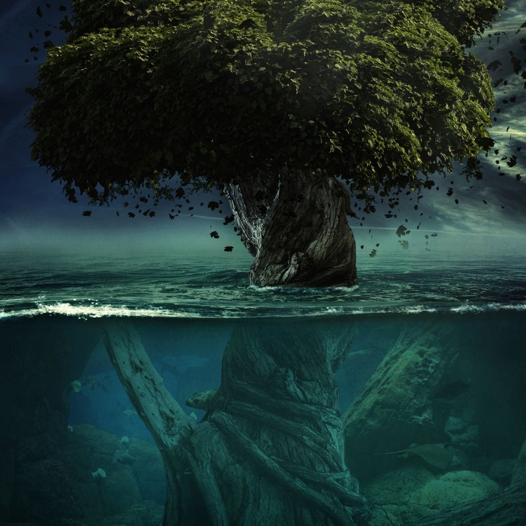 Alone in Depth Canvas Wall Art