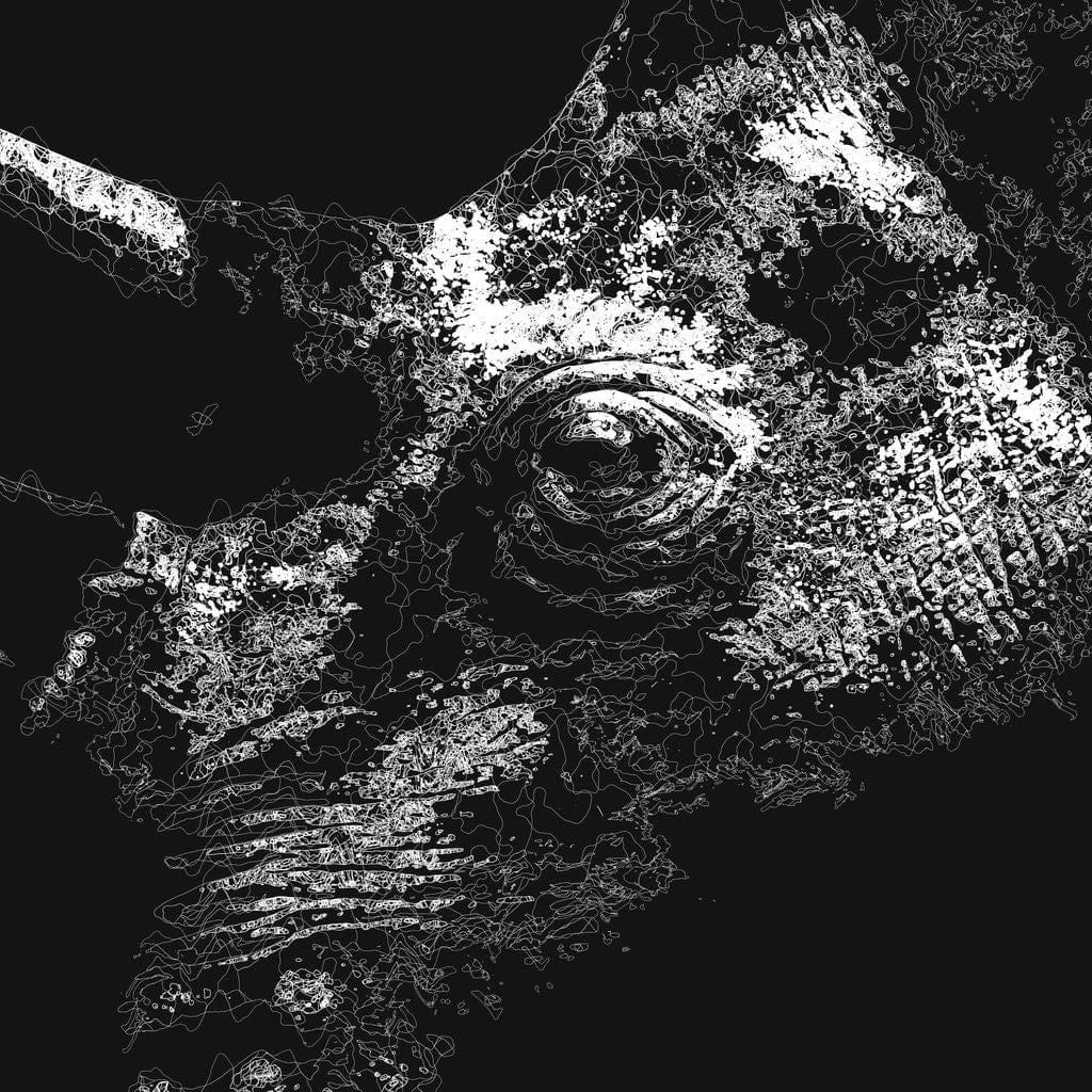 Big 5 Collection - Rhino Canvas Wall Art