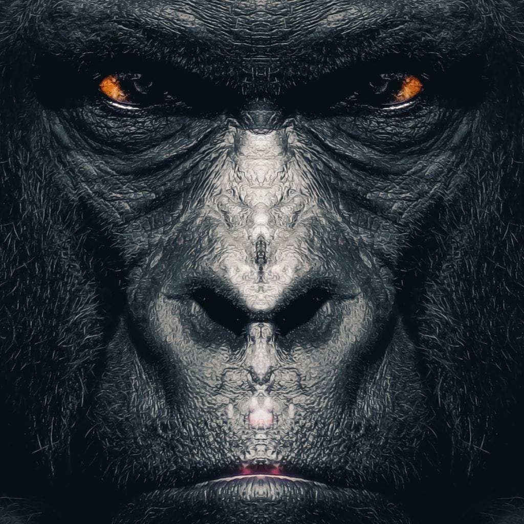 Gorilla Canvas Wall Art