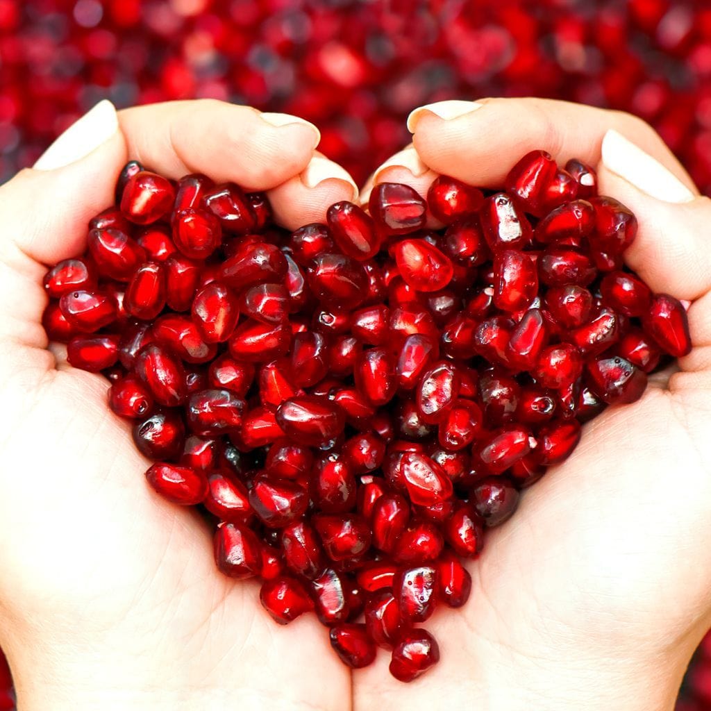 Pomegranate Seeds Canvas Wall Art