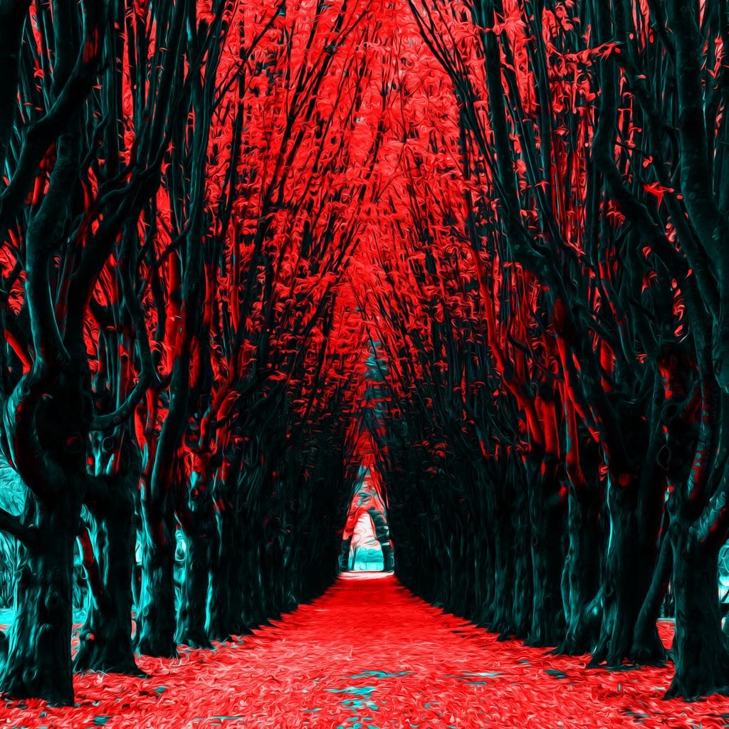 A Walk to Remember Canvas Wall Art