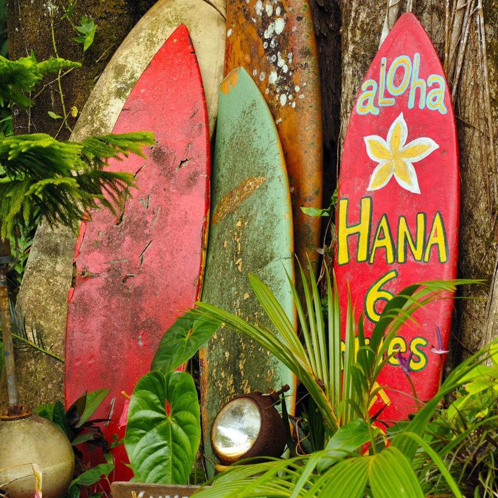 Surfboards in Hawaii Canvas Wall Art