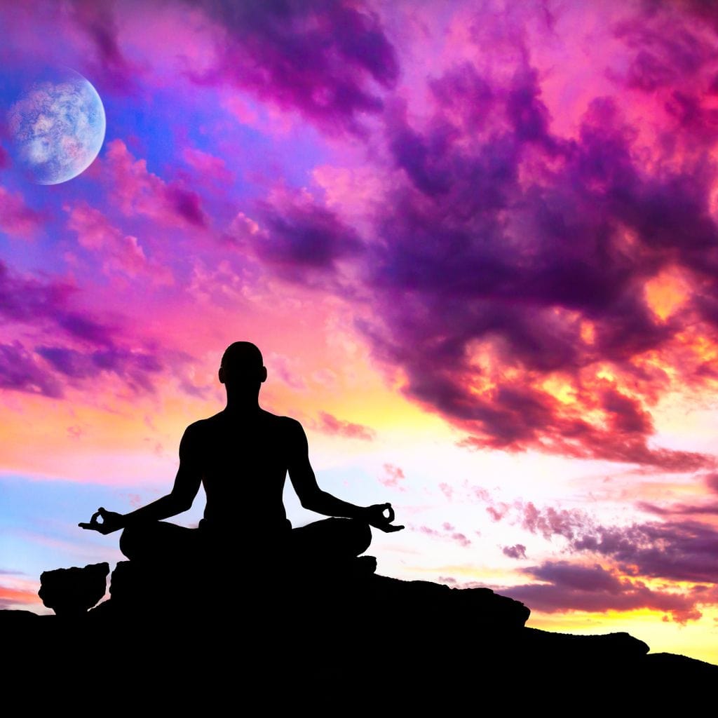 Master of Yoga Canvas Wall Art