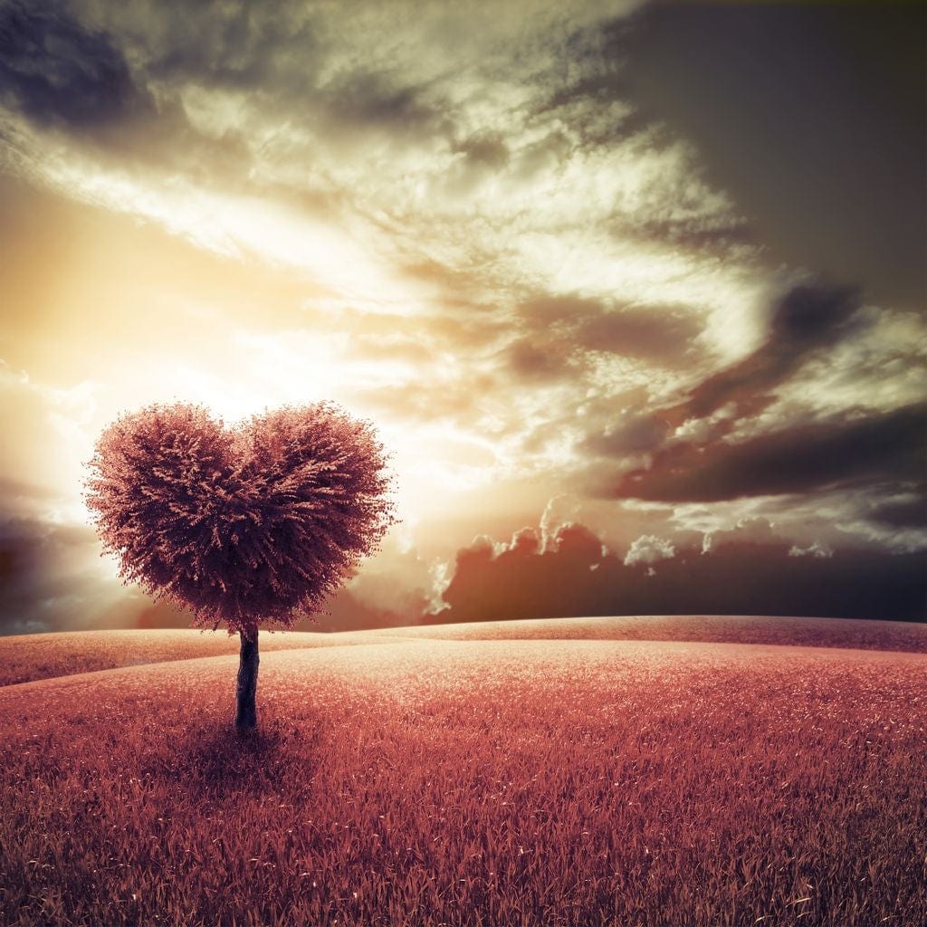 Loving Tree Sunrise Canvas Wall Art