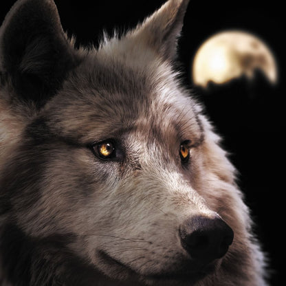 Wolf Moon Canvas Wall Art