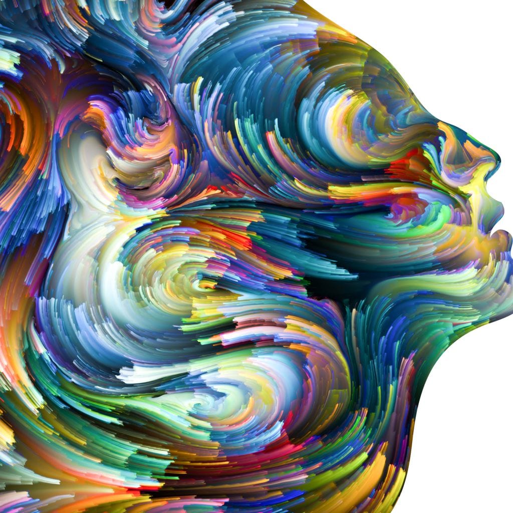Colored Visage Profile Canvas Wall Art