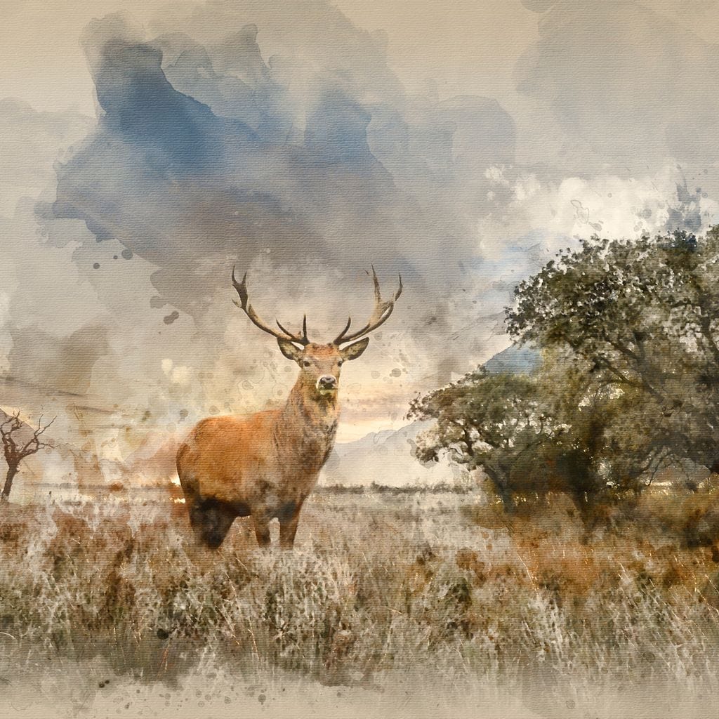 Red Deer Canvas Wall Art