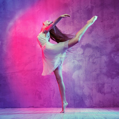 Ballet Dancer Canvas Wall Art