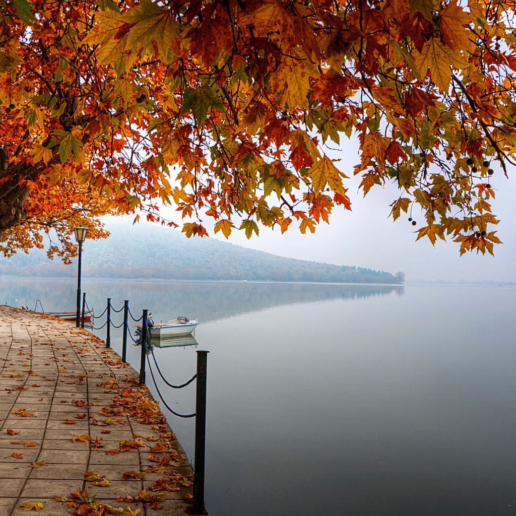 Lakeshore by Fall Canvas Wall Art