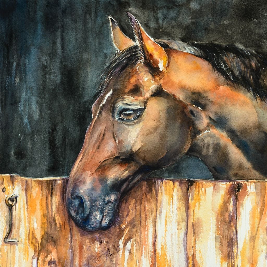 Horse in the Stable Canvas Wall Art