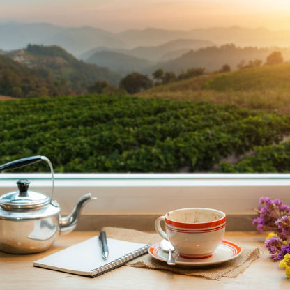 Coffee with a View Canvas Wall Art