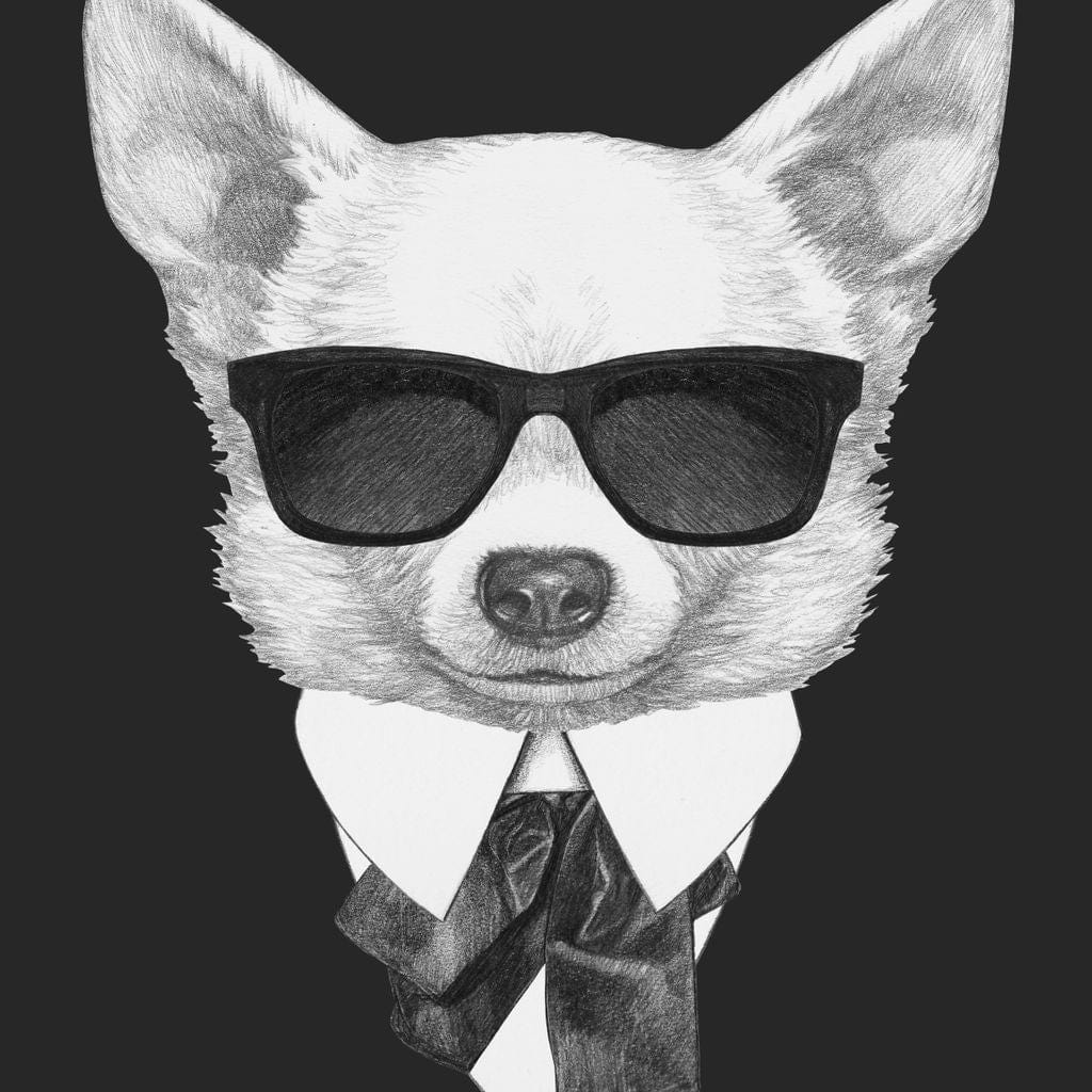 Dressed Up Chihuahua Canvas Wall Art