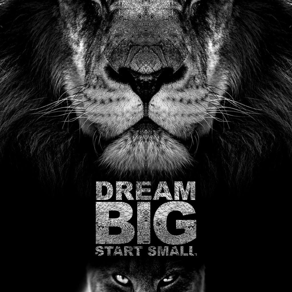 Dream Big Start Small Canvas Wall Art
