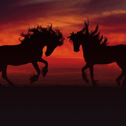 Stallion Sunset Canvas Wall Art