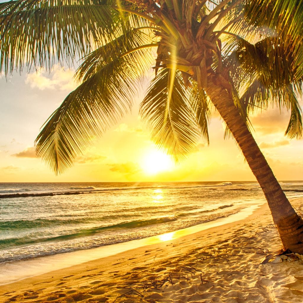 Barbados Beach Canvas Wall Art