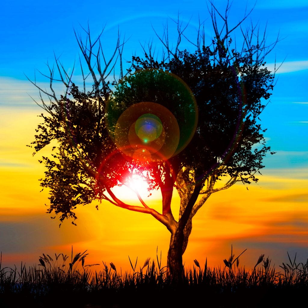 Colorful Sundown Canvas Wall Art