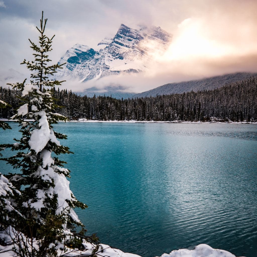 Winter Wonderland Canvas Wall Art
