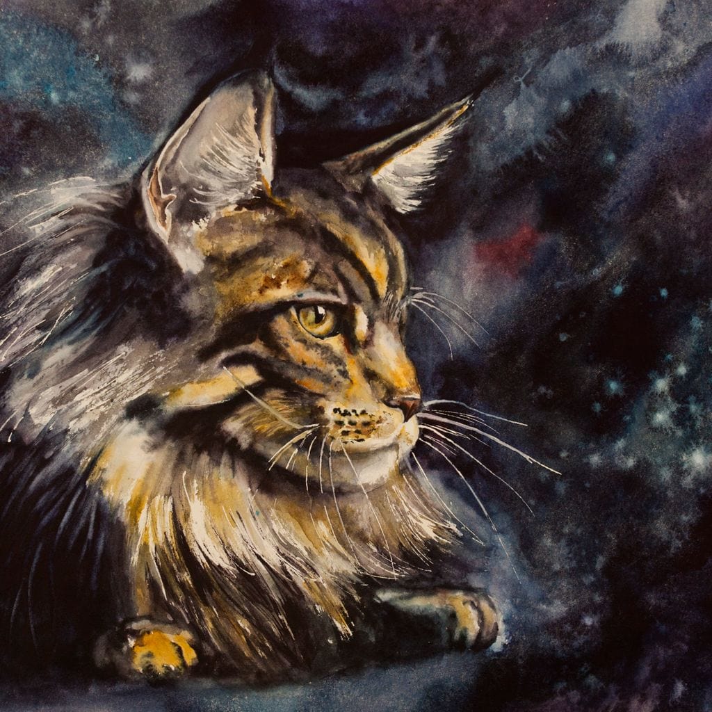 Night Cat Canvas Wall Art