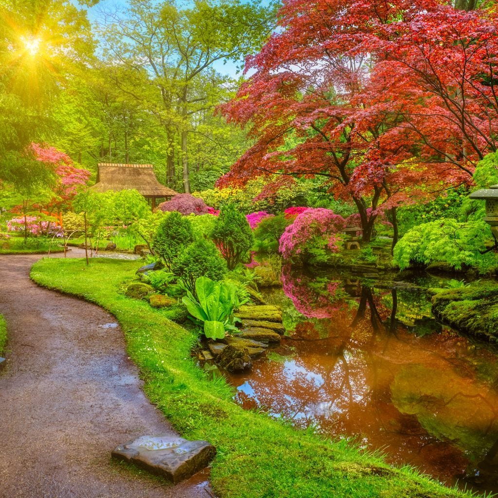 Japanese Garden Canvas Wall Art