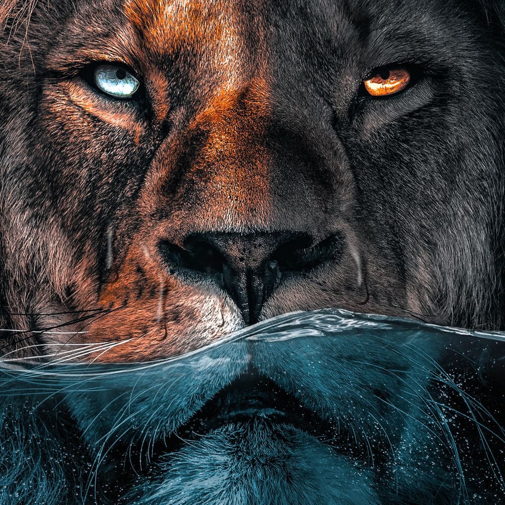 Diving Lion Canvas Wall Art