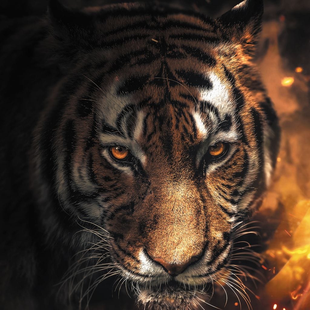 Tiger Sparkles Canvas Wall Art