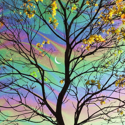 Albus Canvas Wall Art