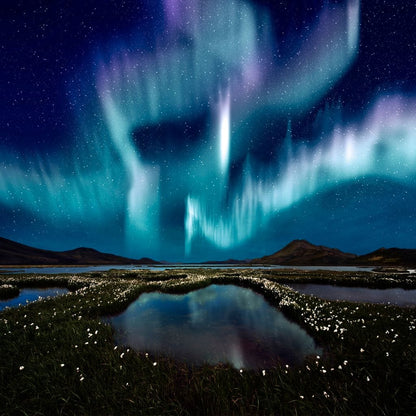 Enlightened Night Canvas Wall Art