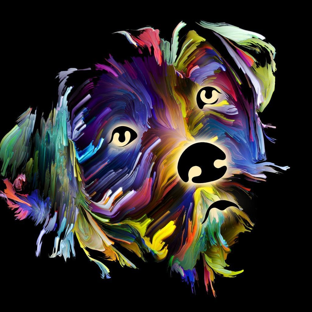 Coloful Dog on Black Background Canvas Wall Art