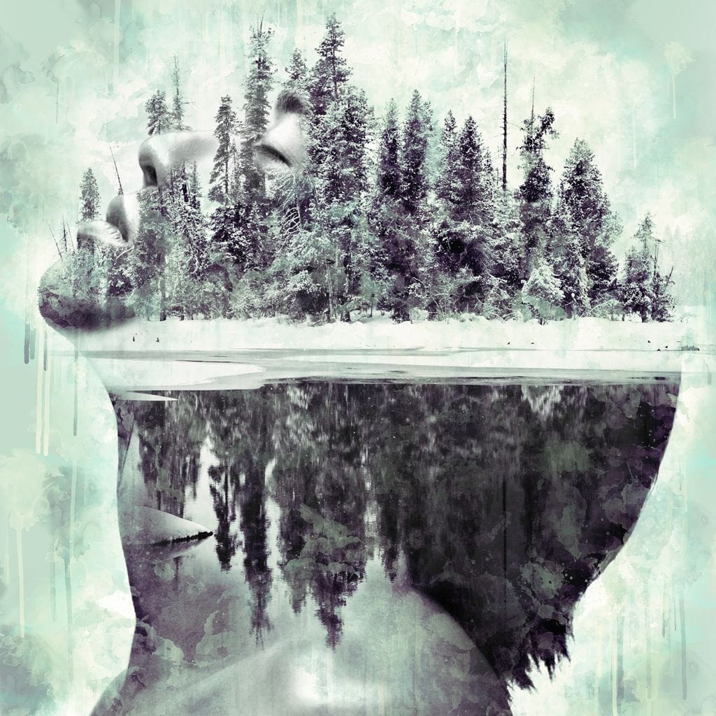 Frozen Memories Canvas Wall Art