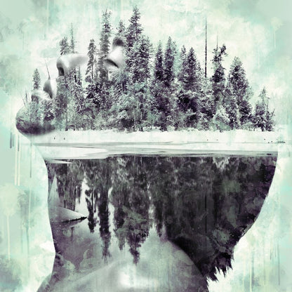 Frozen Memories Canvas Wall Art