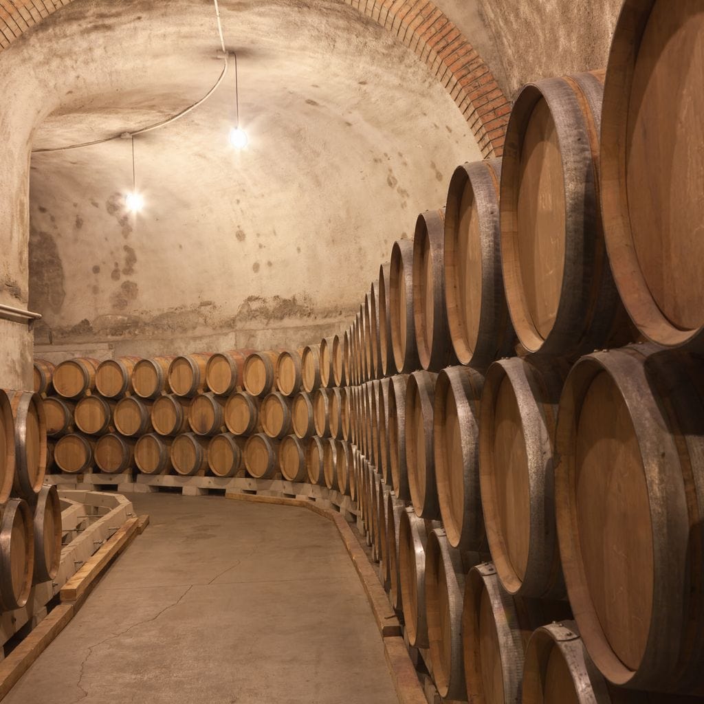 Barrels of Wine Canvas Wall Art