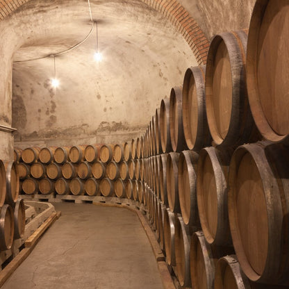 Barrels of Wine Canvas Wall Art