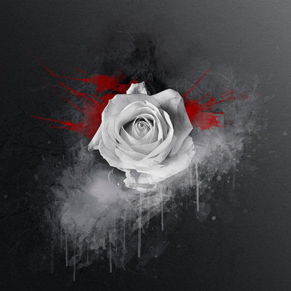White Rose Canvas Wall Art