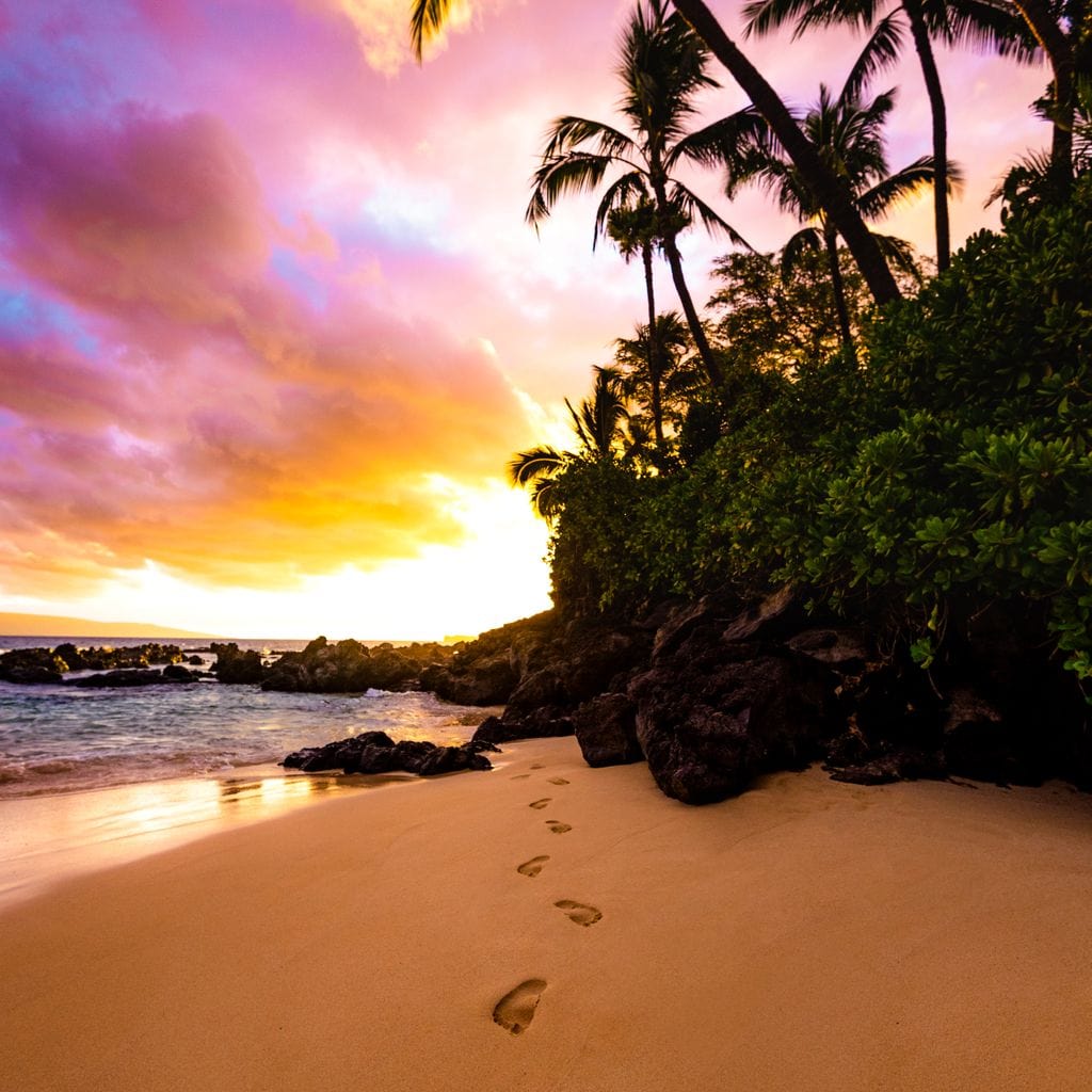 Footprints in the Sand Canvas Wall Art