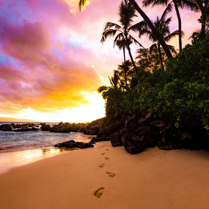 Footprints in the Sand Canvas Wall Art