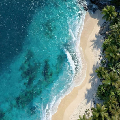 Tropical Cove Aerial Shoreline Canvas Wall Art