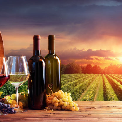 Wine Valley Sunset Canvas Wall Art