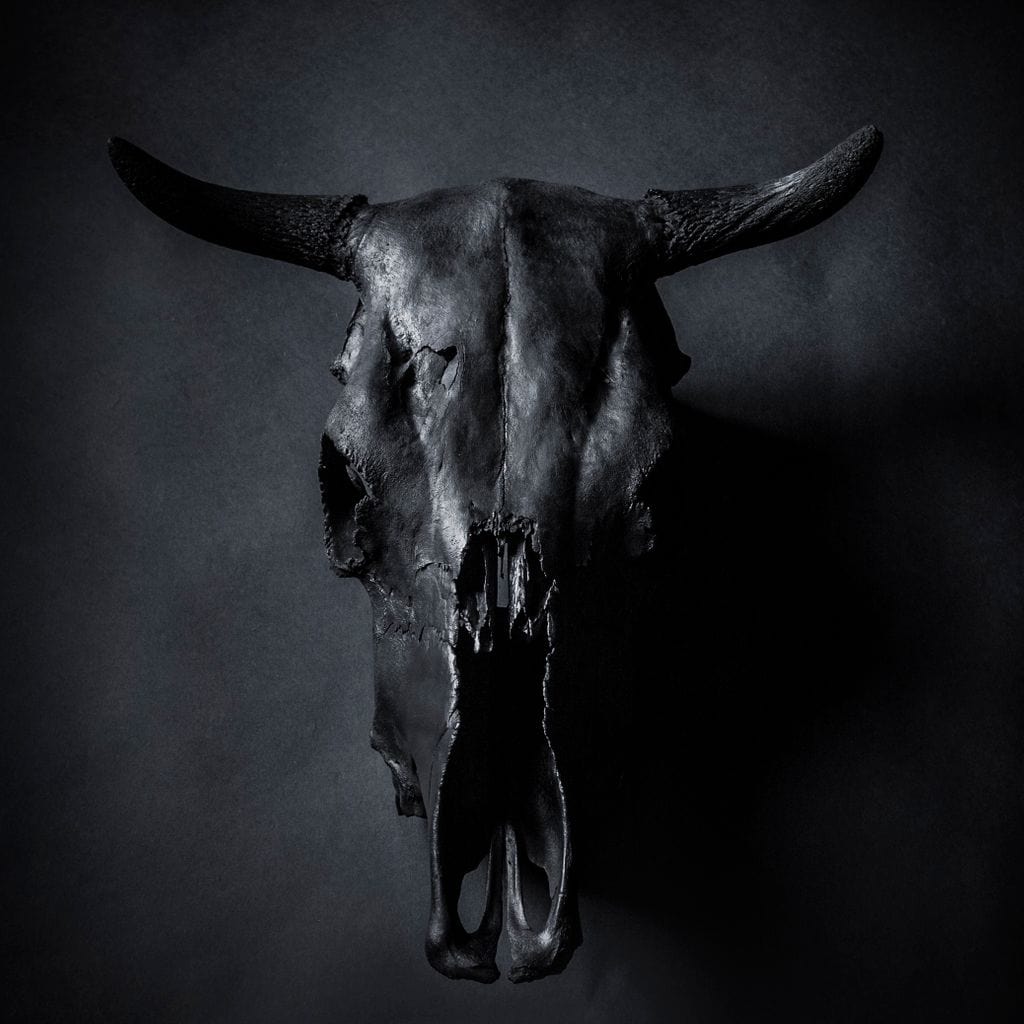 Black Bull Skull Canvas Wall Art