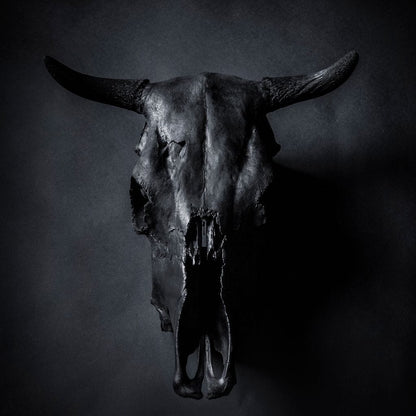 Black Bull Skull Canvas Wall Art