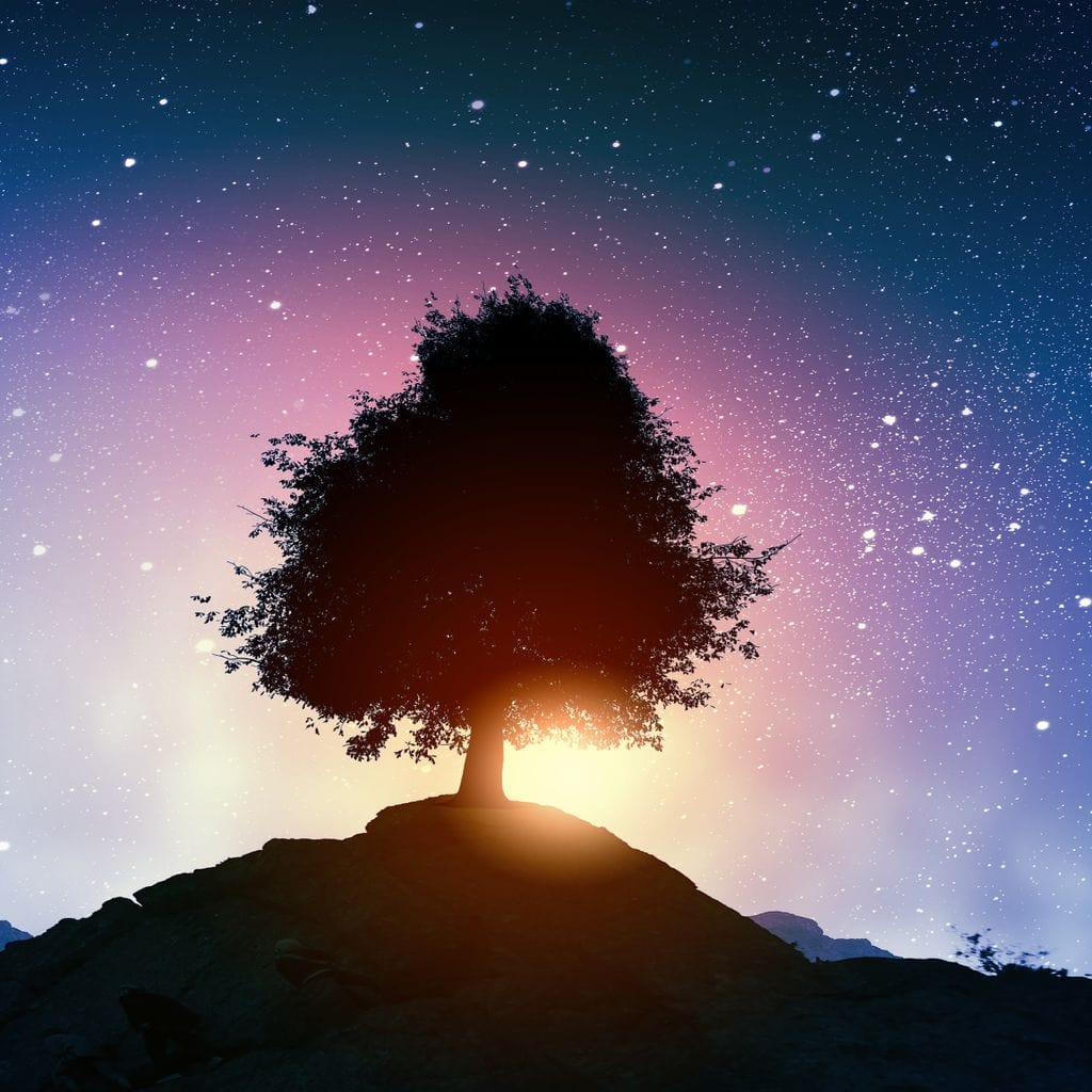 Spectacular Otherworldly Sunset Canvas Wall Art