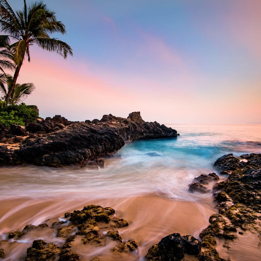 Hawaiian Paradise Canvas Wall Art