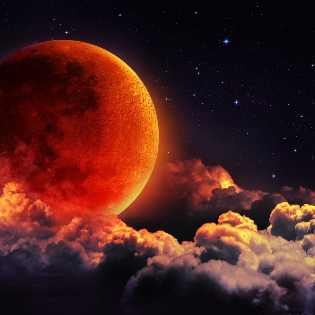 Red Moon Canvas Wall Art
